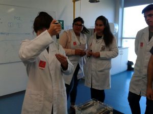 Taller de Biotecnología Viña del Mar 2017