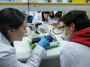 5° Interescolar de Ciencias Biológicas